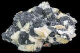 Cerussite Crystals with Bladed Barite on Galena - Morocco #90228-1